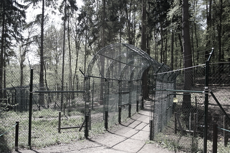 Killikus&reg; Fotographie